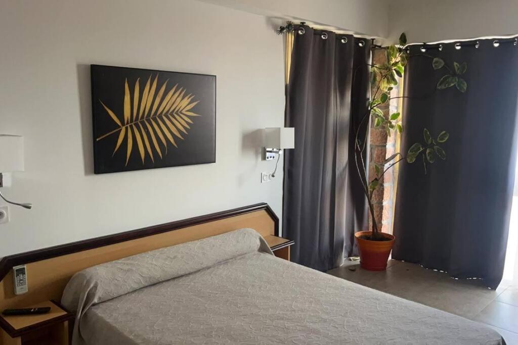 Appartement Porto - Ota Ngoại thất bức ảnh